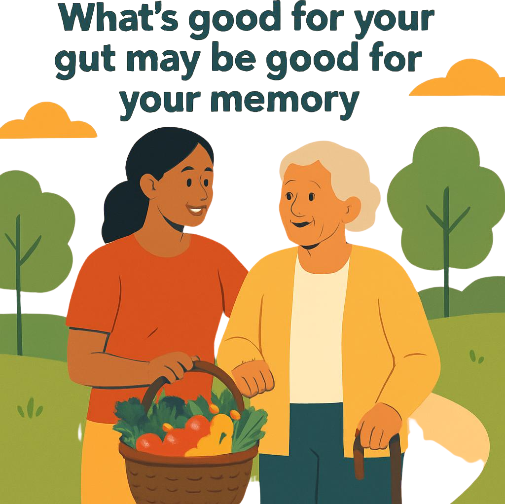 Gut health and memory connection
