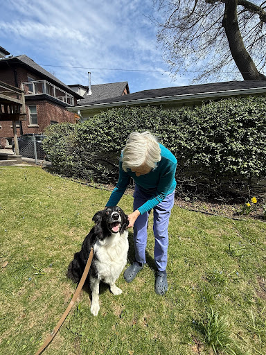 Petting a dog